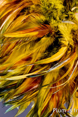 Fringe haan - veerlengte 10-15 cm - wilde salie